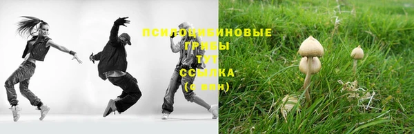 крисы Волоколамск