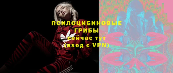 ГАЛЛЮЦИНОГЕННЫЕ ГРИБЫ Верхнеуральск