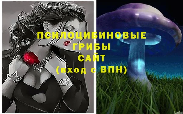 ГАЛЛЮЦИНОГЕННЫЕ ГРИБЫ Верхнеуральск