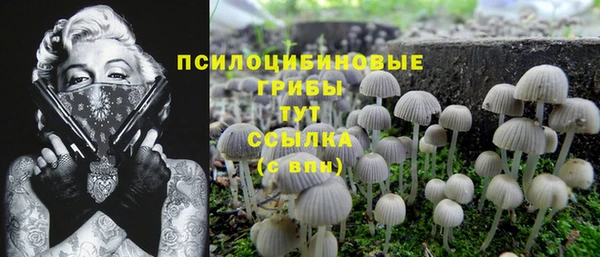 2c-b Володарск